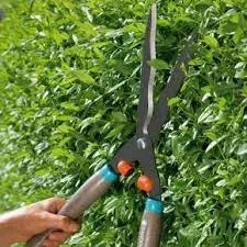 تركيب نخيل وقص اشجار